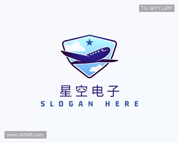 介绍星空电子